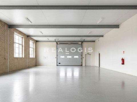 Ditzingen Halle, Ditzingen Hallenfläche