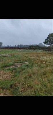 Baugrundstück Grevelau #3