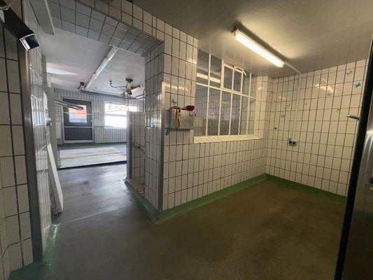 Hauptfläche, Nische und Treppenabgang