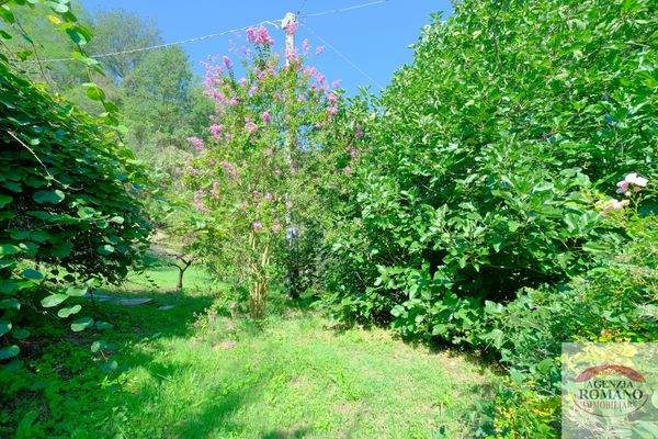 Rif 1369(Copy228).jpg