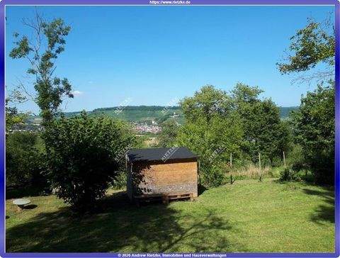 Oberstenfeld Grundstücke, Oberstenfeld Grundstück kaufen
