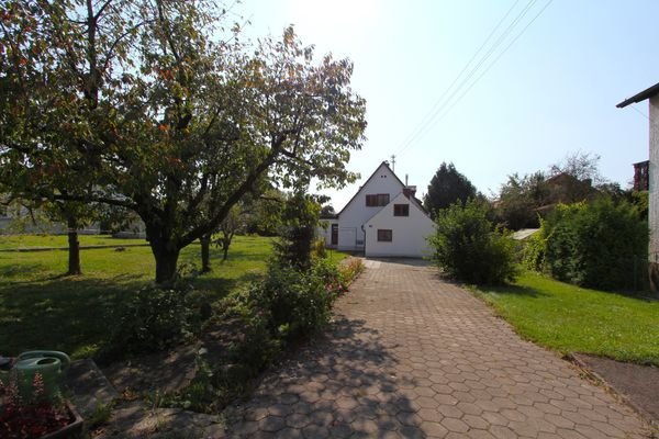 Blick Nord-West auf Altbestand