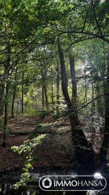 Umgebungsbild Hasenburger Bachtal