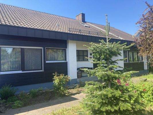 Vorgarten / Eingang 2