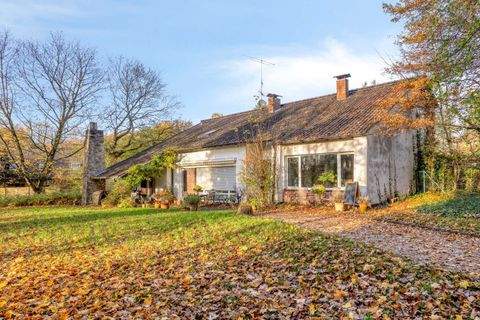 Köln Häuser, Köln Haus kaufen