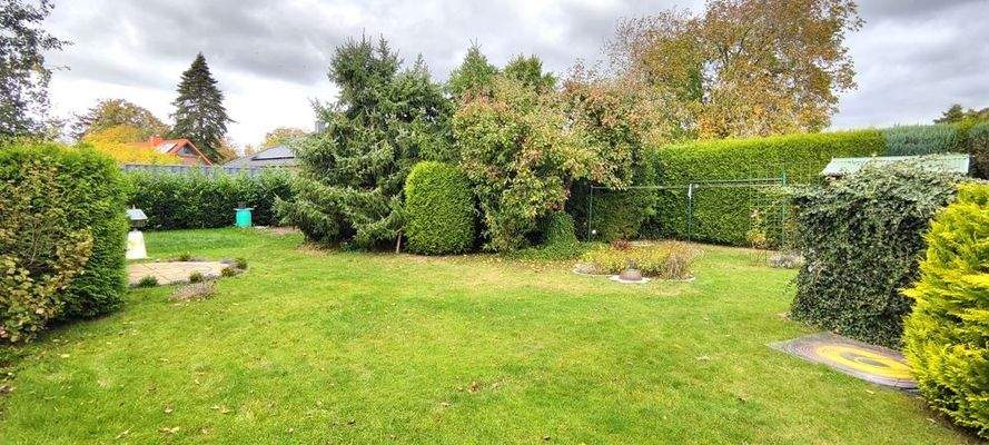 Blick in den Garten 1