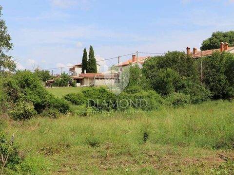 Zminj Bauernhöfe, Landwirtschaft, Zminj Forstwirtschaft