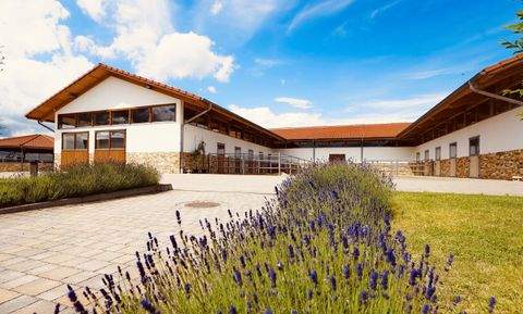 Steinau an der Straße Häuser, Steinau an der Straße Haus kaufen