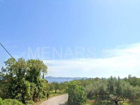 Petrcane - Kozino Bauernhöfe, Landwirtschaft, Petrcane - Kozino Forstwirtschaft