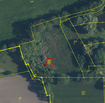 Westoverledingen Bauernhöfe, Landwirtschaft, Westoverledingen Forstwirtschaft