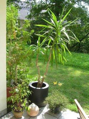 PHOTO-2025-11-21-12-44-06 3