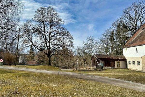 Freifläche / Garten