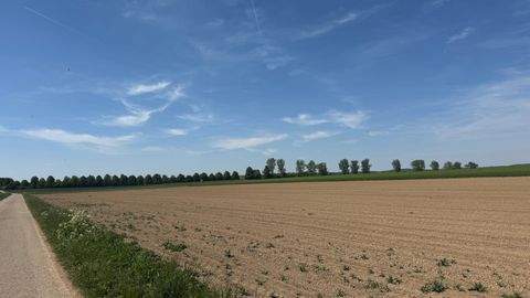 Blaustein Bauernhöfe, Landwirtschaft, Blaustein Forstwirtschaft