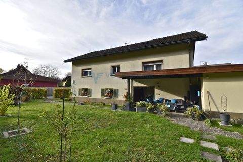 Hohenems Häuser, Hohenems Haus kaufen