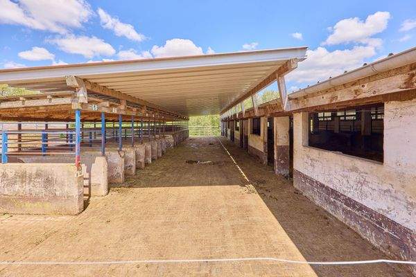 10 Fressplätze Laufstall.jpg