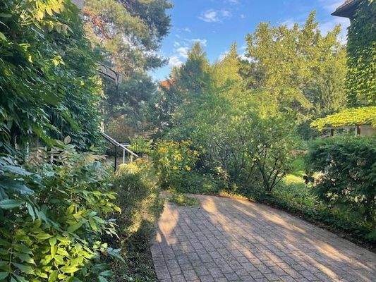 Blick zur Terrasse v. vorn