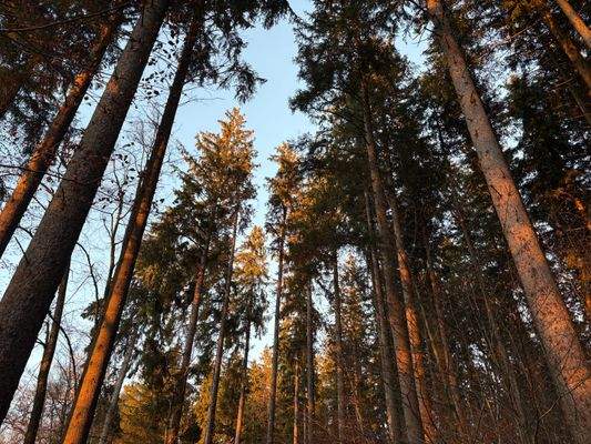 2025-12-10 16.02.40.jpg