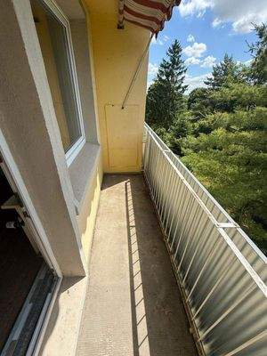 PHOTO-2025-06-20-11-43-23-201EC8E4-214A-4B08-AAE6-