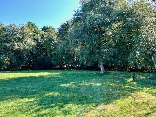 inkl. kleinem Gehölz