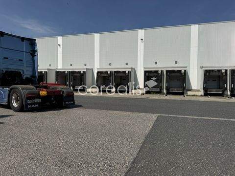 Essen Halle, Essen Hallenfläche