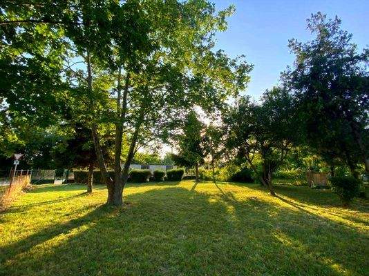 Messenger_creation_87FAB5F7-23ED-40D1-A8BD-EA517CB