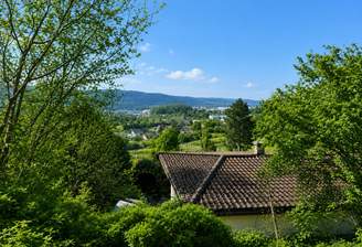 Ausblick