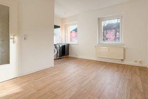 Zwickau Wohnungen, Zwickau Wohnung mieten