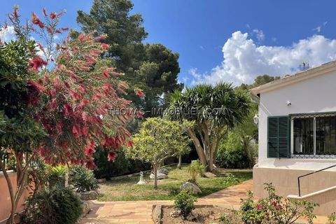 Palma Häuser, Palma Haus mieten 