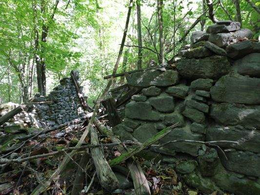 Immagine WhatsApp 2023-11-09 ore 14.26.02_620db98b