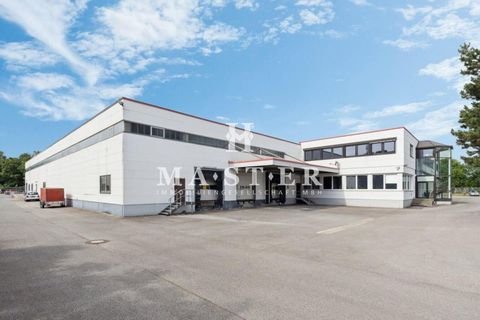 Langenhagen Halle, Langenhagen Hallenfläche