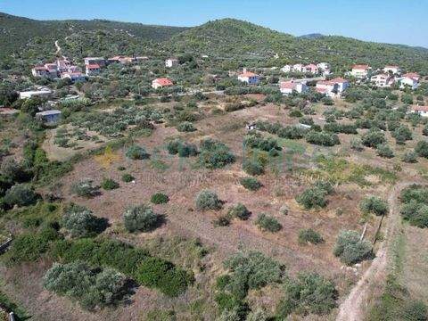 Centar, Kraj Bauernhöfe, Landwirtschaft, Centar, Kraj Forstwirtschaft