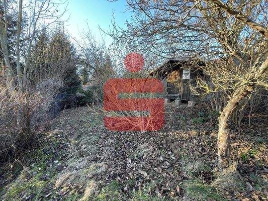 oberer Grundstücksteil (Flurstück 104)