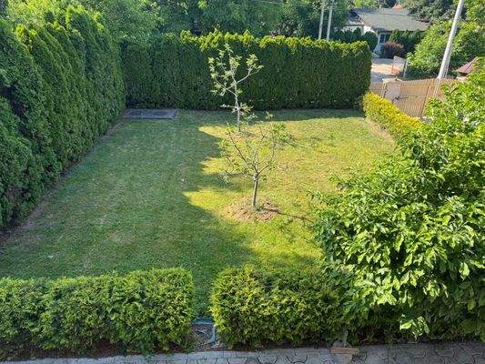 PHOTO-2025-06-03-16-27-40 2.jpg