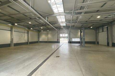 Hoyerswerda Halle, Hoyerswerda Hallenfläche