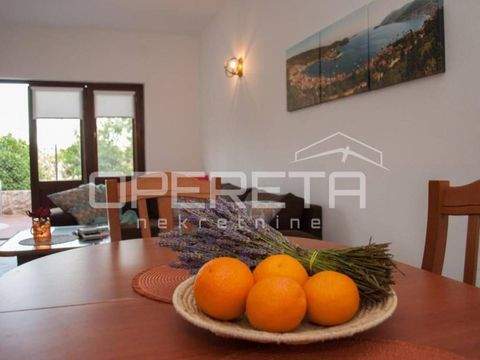 Vis Häuser, Vis Haus kaufen