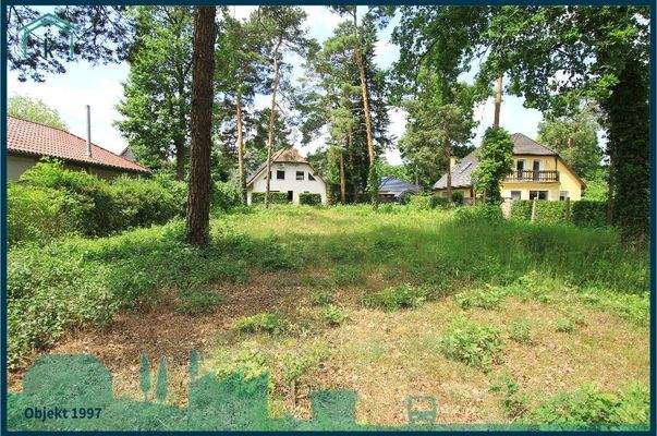 1997 Blick aufs Grundstück.jpg