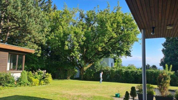 Garten mit Alpensicht