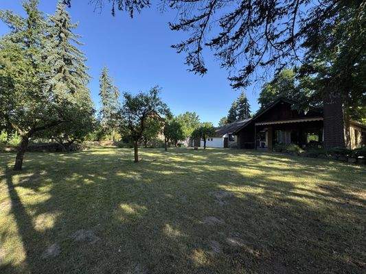 Blick über den Garten zur Terrasse
