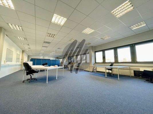 INFOS UNTER: 06171-586000