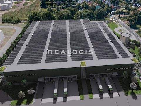 Magdeburg Halle, Magdeburg Hallenfläche