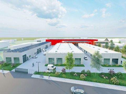 Hürth Halle, Hürth Hallenfläche