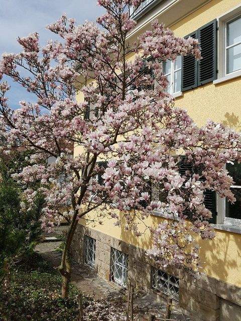Würzburg Wohnungen, Würzburg Wohnung mieten