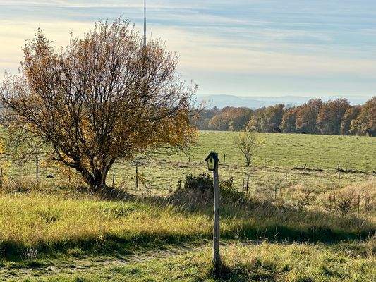 wunderschöne Lage am Naturschutzgebiet
