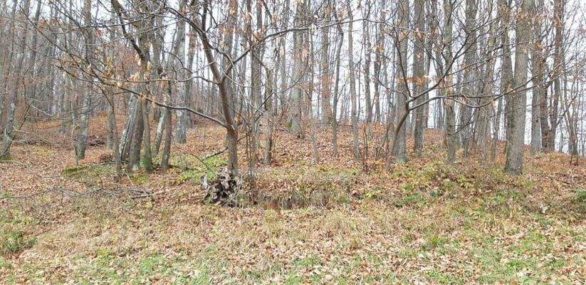 Hier finden Sie die Entspannung, die Sie suchen