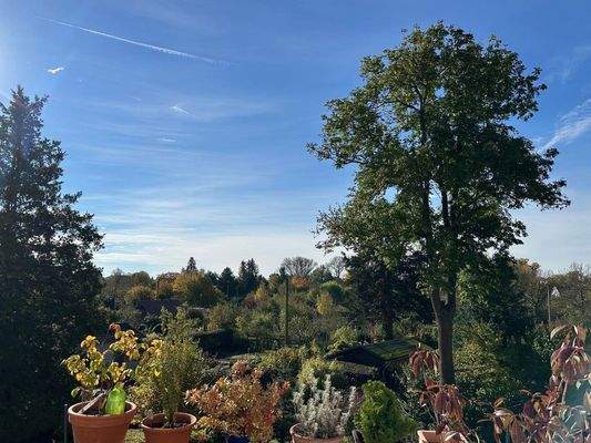 OG BalkonBlick ins Grüne