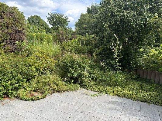 Blick von der Terrasse Richtung Garten.jpg