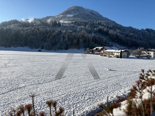 Bild 14