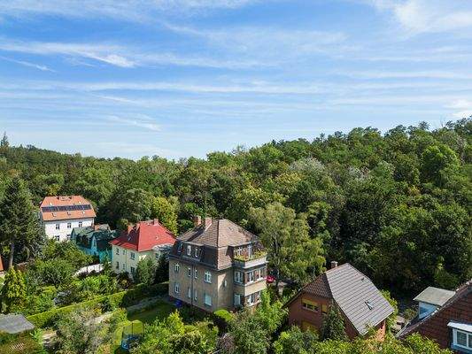 1052-30 Blick Volkspark.jpg