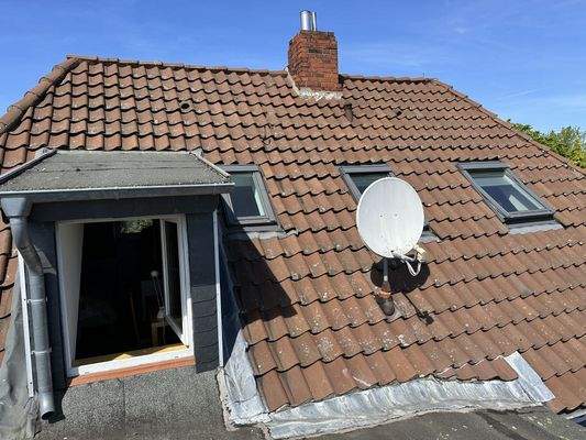 Bild5