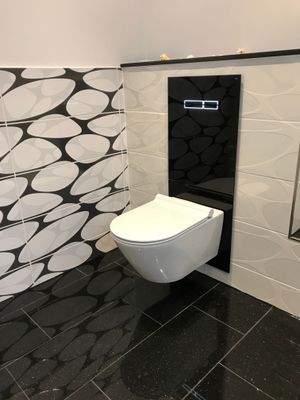 WC von Tece Lux mit Geruchsabsaugung.JPG